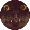 [アイコン]猫沢 エミ