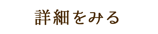 詳細をみる